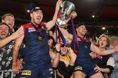 afl premiership betting odds|AFL Premiership 2022 Odds .